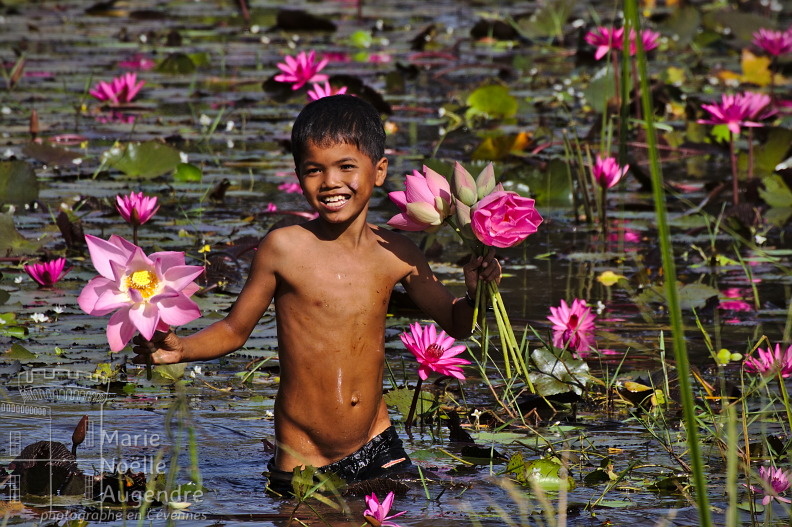 Le petit cueilleur de fleurs de lotus